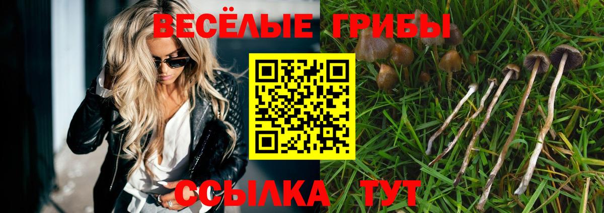 Псилоцибиновые грибы Cubensis Знаменск